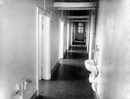 The corridor with washbasins in the special clinic for animals in the Physiology Department, Imperial Institute of Experimental Medicine, St Petersburg. Photograph, 1904.