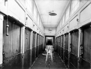 view The central corridor of the vivarium (animal house) with cages for the animals, in the Physiology Department, Imperial Institute of Experimental Medicine, St Petersburg. Photograph, 1904.