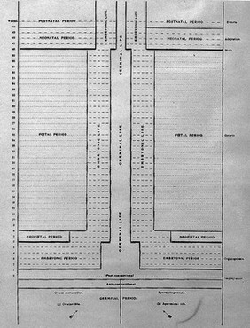 J. W. Ballantyne, Manual of antenatal