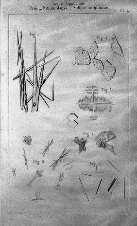 Traité des maladies des reins et des altérations de la sécrétion urinaire, étudiées en elles-mêmes et dans leurs rapports avec les maladies des uretères, de la vessie, de la prostate, de l'urèthre, etc. Avec un atlas in-folio / par P. Rayer ... Tome premier-[troisième].