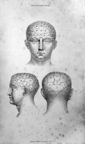 Phrenology, or the doctrine of the mind : and of the relations between its manifestations and the body.