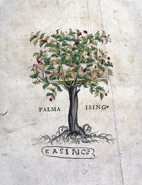 De historia stirpium commentarii: holly and platen.