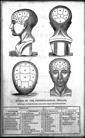 Outlines of phrenology / [George Combe].