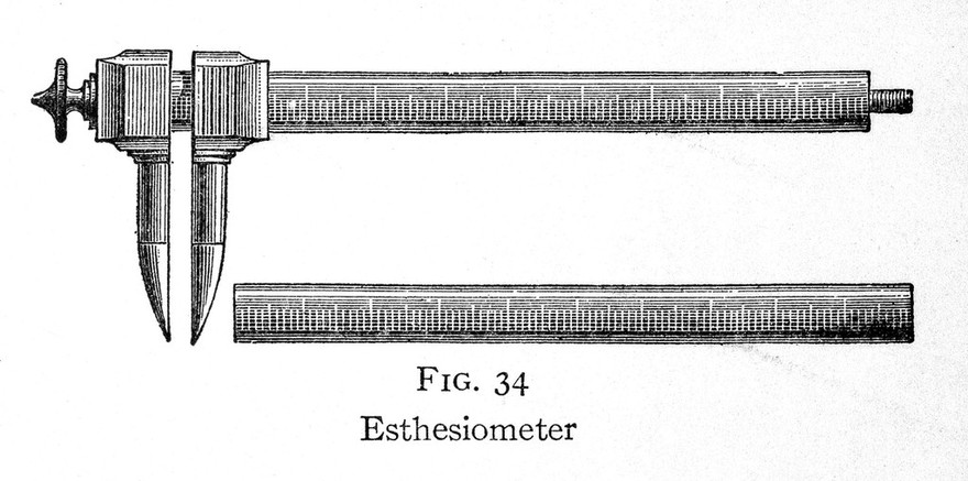 Esthesiometer from C. Lombroso's Criminal man