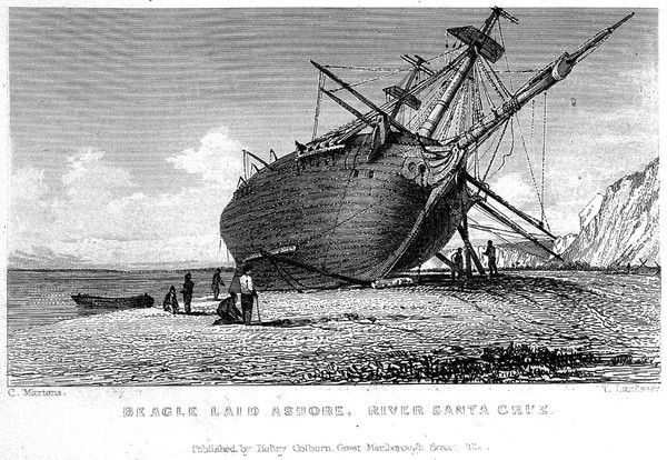 Narrative of the surveying voyages of His Majesty's ships Adventure and Beagle, between the years 1826 and 1836, describing their examination of the Southern shores of South America, and the Beagle's circumnavigation of the globe / [edited by R. Fitzroy].