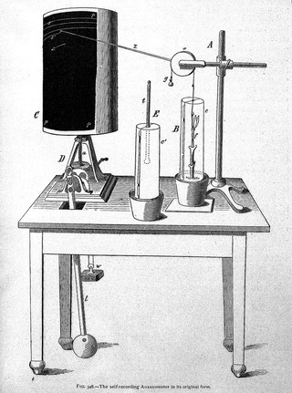 Lectures on the physiology of plants / by Sydney Howard Vines.