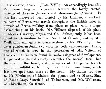 Our native ferns, or, A history of the British species and their varieties / by E.J. Lowe.