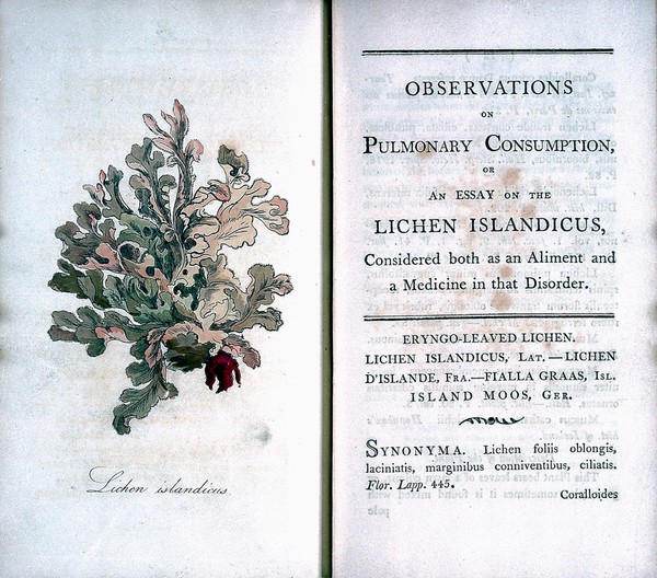 Observations on pulmonary consumption, or an essay on the lichen islandicus, considered both as an aliment and a medicine in that disorder / [Jean-Baptiste Étienne Benoît Olive Regnault].