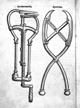 De conceptu et generatione hominis, et iis quae circa haec potissimum consyderantur libri sex ... Insertae quoque sunt picturae variae foetus, primum in utero siti, deinde in partu, mox etiam matricis et instrumentorum ad partum ... pertinentium ... postremo variorum monstrorum insuper / [Jakob Rueff].