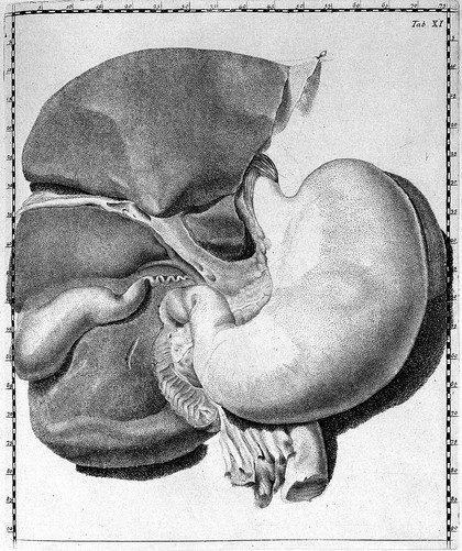 Septemdecim tabulae quas nunc primum edit atque explicat iisque alias addit De structura mammarum et De tunica testis vaginali Michael Girardi / [Giovanni Domenico Santorini].