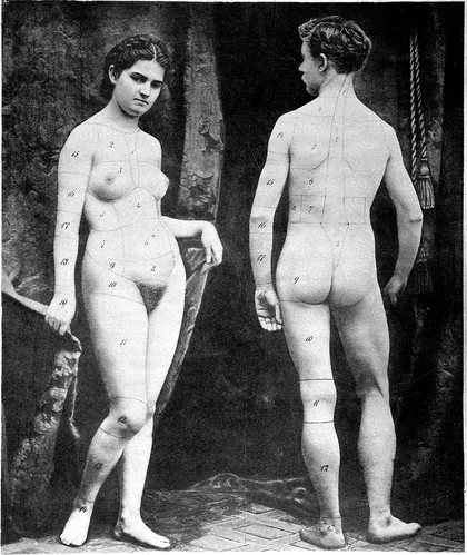 Topographisch-chirurgische Anatomie des Menschen / von Dr. Rüdinger.