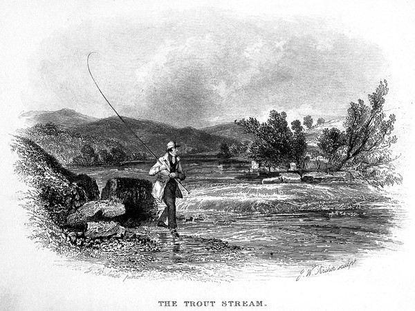 The sportsman's cyclopaedia; comprising a complete elucidation of the science and practice of hunting, shooting, coursing, racing, fishing, hawking, cockfighting, and other sports and pastimes of Great Britain, interspersed with entertaining and illustrative anecdotes / by T.B. Johnson.
