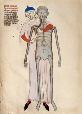 Anatomies de Mondino dei Luzzi et de Guido de Vigevano / [Mondino dei Luzzi].