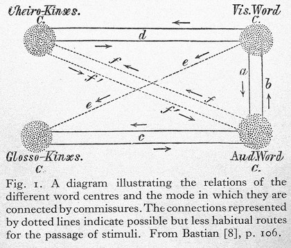 Aphasia and kindred disorders of speech / by Henry Head.