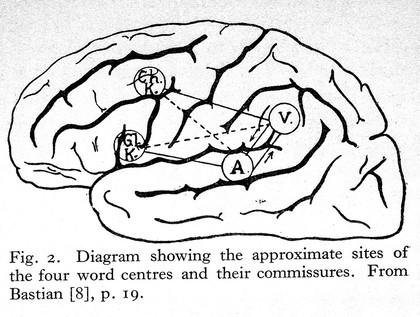 Aphasia and kindred disorders of speech / by Henry Head.