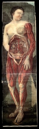 Anatomie generale des visceres en situation, de grandeur et couleur naturelle, avec l'angeologie, et la nevrologie de chaque partie ... La perte de M. Duverney ... est reparée par M. Mertrud, qui ... continuera les dissections ... On trouve ci-après les explications que M. Metrud a faites / [Jacques Gautier D'Agoty].