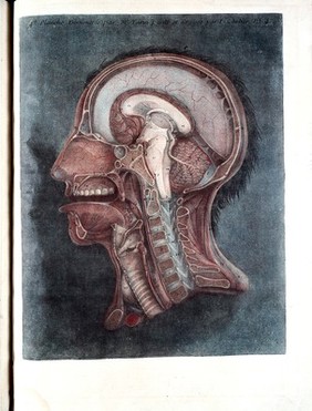 Anatomie de la tête, en tableaux imprimés, qui representent au naturel le cerveau sous différentes coupes, la distribution des vaisseaux ... les organes des sens, et une partie de la névrologie, d'après les pièces disséquées et préparées / par Duverney.