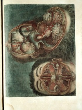 Anatomie de la tête, en tableaux imprimés, qui representent au naturel le cerveau sous différentes coupes, la distribution des vaisseaux ... les organes des sens, et une partie de la névrologie, d'après les pièces disséquées et préparées / par Duverney.