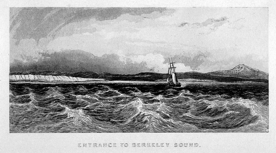 Narrative of the surveying voyages of His Majesty's ships Adventure and Beagle, between the years 1826 and 1836, describing their examination of the Southern shores of South America, and the Beagle's circumnavigation of the globe / [edited by R. Fitzroy].