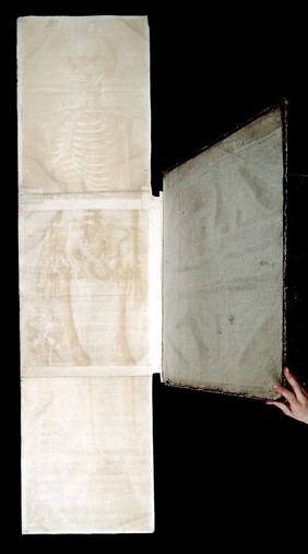Anatomie generale des visceres en situation, de grandeur et couleur naturelle, avec l'angeologie, et la nevrologie de chaque partie ... La perte de M. Duverney ... est reparée par M. Mertrud, qui ... continuera les dissections ... On trouve ci-après les explications que M. Metrud a faites / [Jacques Gautier D'Agoty].