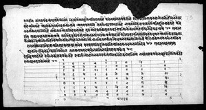 view Hindi Manuscript 752, folio 73a