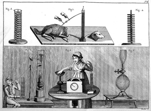 Essai théorique et expérimental sur le galvanisme, avec une série d'expériences. Faites en présence des commissaires de l'Institut National de France, et en divers amphithéâtres anatomiques de Londres par Jean Aldini / [Giovanni Aldini].