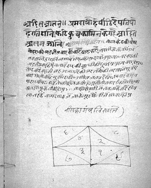 view Hindi Manuscript 317, folio13a