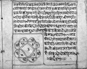 view Hindi Manuscript 325, folio 41a