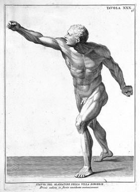 Anatomia per uso et intelligenza del disegno ricercata non solo su gl'ossi, e muscoli del corpo humano; ma dimostrata ancora su le statue antiche più insigni di Roma. Delineata in più tavole con tutte le figure in varie faccie, e vedute / Per istudio della Regia Academia de Francia Pittura e Scultura sotto la direzzione di Carlo Errard gia direttore di essa in Roma. Preparata su'i cadaveri dal dottor Bernardino Genga ... Con le spiegazioni et indice del Sigr. canonico Gio. Maria Lancisi.