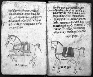 view Hindi Manuscript 191, fols. 12 verso, 13 rec