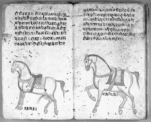 view Hindi Manuscript 191, fols. 13 verso, 14 recto