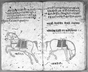 view Hindi Manuscript 191, fols. 15 verso, 16 recto