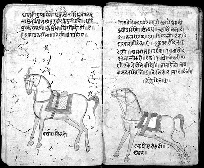 Hindi Manuscript 191, fols. 22 verso, 23 rec