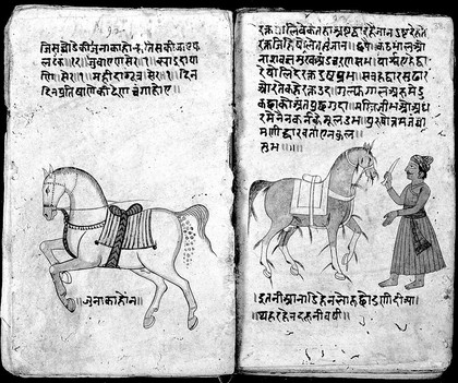 Hindi Manuscript 191, fols. 37 verso 38 rect