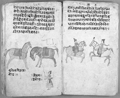 Hindi Manuscript 191, fols 73 verso 74 recto