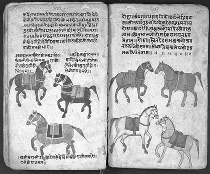 Hindi Manuscript 191, fols 74 verso 75 recto