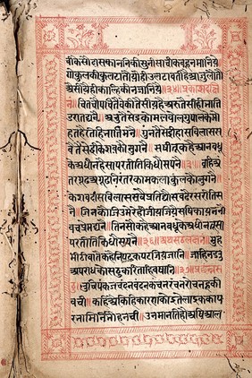 Indic Manuscript 756