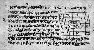 view Hindi Manuscript 320, folio 10a