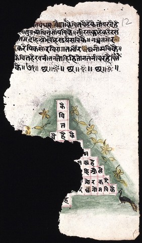 Hindi Manuscript 775, folio 12a