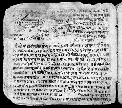 Indic Manuscript 348, folio 8b