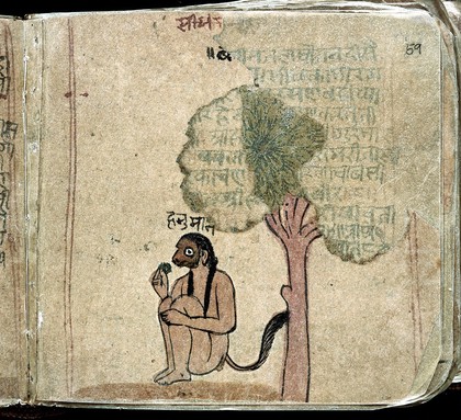 Hindi Manuscript 844