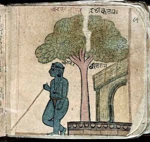 view Hindi Manuscript 844