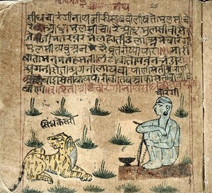 view Hindi Manuscript 884