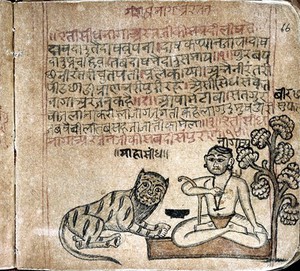 view Hindi Manuscript 884