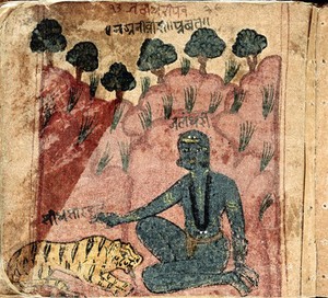 view Hindi Manuscript 884