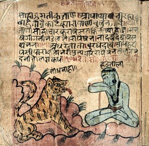 view Hindi Manuscript 884