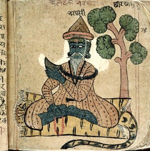 view Hindi Manuscript 884