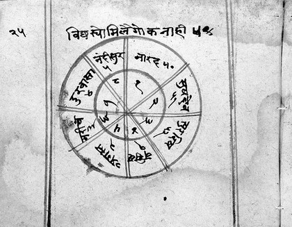 Hindi Manuscript 266, folio 25b