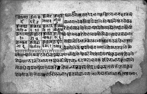 view Hindi Manuscript 22, folio 11a