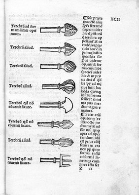 Tractatus de fractura calve sive cranei / a Carpo editus.